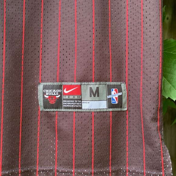 Scotty Pippen Chicago Bulls Jersey #33 - Picture 3 of 5